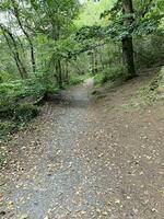 een visie van de noorden Wales platteland in de buurt llyn maw in snowdonia foto