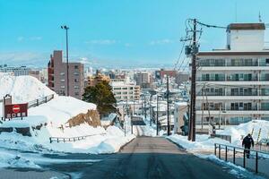 mooi landschap en stadsgezicht van hakodate berg met sneeuw in winter seizoen. mijlpaal en populair voor attracties in hokkaido, japan.reizen en vakantie concept foto