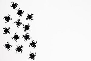 halloween frame, feestelijke decoratie, spin, vleermuis achtergrond foto