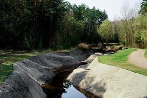 een kunstmatig roeikanaal gecreëerd in het bos. groen gebied foto