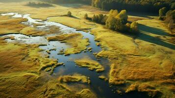 antenne visie van een rustig herfst weide reflecterend foto