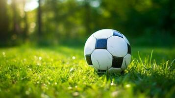 voetbal bal Aan groen gras met selectief focus foto