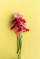 roze en rood gerbera madeliefjes boeket op groene achtergrond foto