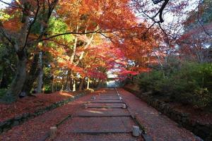 de nadering van de bishamon-do-tempel in Kyoto met herfstbladeren foto