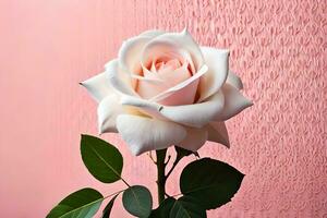 een single wit roos is getoond tegen een roze achtergrond. ai-gegenereerd foto