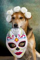 hond met bloem kroon en calaca voor de dag van de dood foto