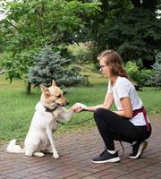 jonge vrouw die haar hond opleidt in een park foto
