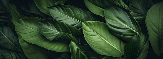 abstract groen blad structuur met natuur achtergrond, tropisch blad. generatief ai foto