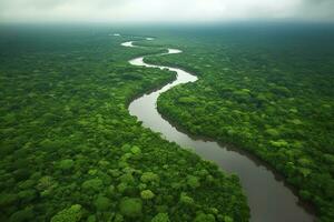 antenne visie van de amazonas oerwoud landschap met rivier- kromming. generatief ai foto