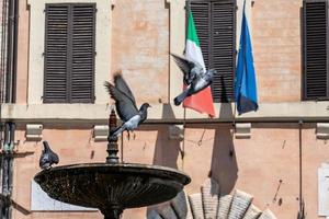 Spoleto stadhuis met vlaggen en duiven foto