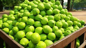 vers geplukt mundu fruit van tuin geplaatst in de dozen. generatief ai foto