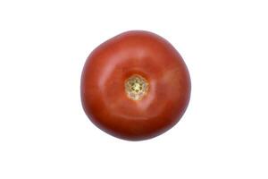 rood tomaat Aan een wit achtergrond. sappig tomaat fruit. foto