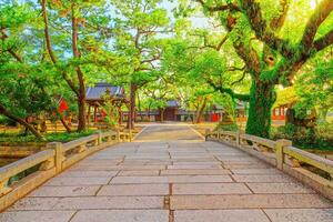 sumiyoshi Taisha heiligdom, Osaka, Japan foto