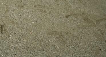 strand zand met voetafdrukken in ochtend- foto