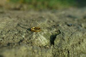 bruiloft ring Aan een bemost steen in de ochtend- foto