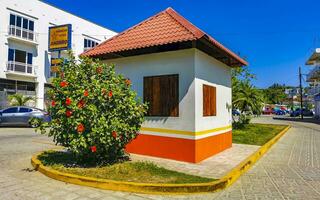 puerto escondido oaxaca Mexico 2023 typisch mooi kleurrijk toerist straat trottoir stad puerto escondido Mexico. foto