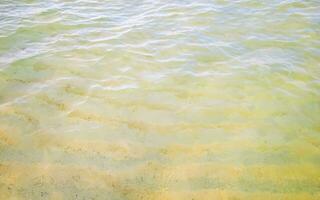 golven Bij tropisch strand caraïben zee Doorzichtig turkoois water Mexico. foto