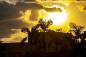 kleurrijk gouden zonsondergang zonsopkomst tropisch caraïben palm bomen wolken Mexico. foto