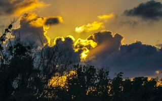 kleurrijk gouden zonsondergang zonsopkomst tropisch caraïben palm bomen wolken Mexico. foto