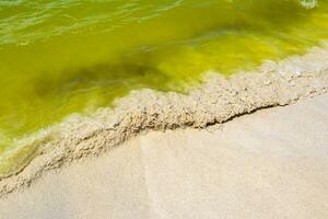 golven Bij tropisch strand caraïben zee Doorzichtig turkoois water Mexico. foto