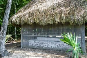 coba Maya ruïnes piramides en bal spel tropisch oerwoud Mexico. foto