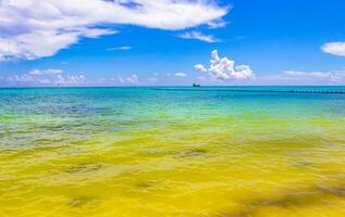 tropisch caraïben strand Doorzichtig turkoois water playa del carmen Mexico. foto