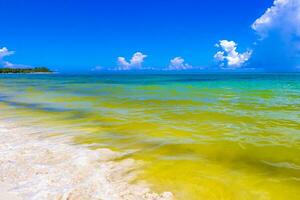 tropisch caraïben strand Doorzichtig turkoois water playa del carmen Mexico. foto