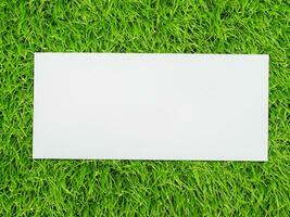 wit blanco poster Aan groen gras achtergrond. foto