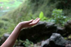 mooi vrouw hand- en vinger is aanraken natuur en ontspannende in regen Woud foto