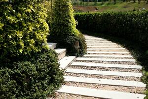 idee van steen en cement tegel ontwerp voor bestrating loopbrug in de tuin. ontwerp en decoratief tuin. foto