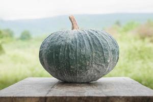 groene pompoen op hout foto