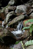 versheid landschap voor water vallen en stroom vloeiende door rotsen in tropisch regen Woud en groen wild oerwoud. foto