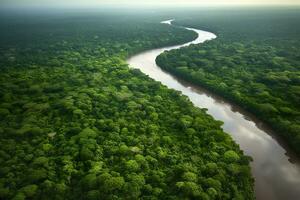 antenne visie van de amazonas oerwoud landschap met rivier- kromming. generatief ai foto