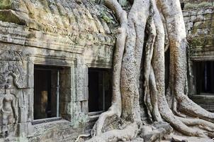 angkor wat ruïnes beroemde bezienswaardigheid tempel detail in de buurt van siem reap cambodja