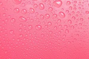 close-up waterdruppels op roze achtergrond foto