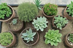 top visie een dichtbij omhoog van planten in potten Aan een tafel. achtergrond. ai generatief pro foto