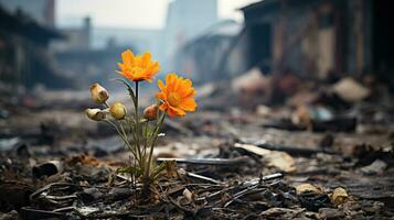 bloemen in een verbrand huis na een brand in de stad. ai gegenereerd. foto