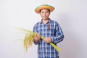 Aziatisch boer in een gestreept overhemd Holding een sikkel en oogsten rijst- granen Aan een wit achtergrond. foto