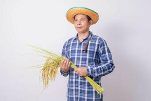 Aziatisch boer in een gestreept overhemd Holding een sikkel en oogsten rijst- granen Aan een wit achtergrond. foto