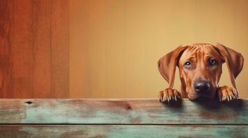 hond, schattig huisdier. web banier met kopiëren ruimte. generatief ai foto