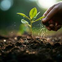 tintje van zorg hand- voegt toe bodem Aan groen bokeh, symboliseert aanplant of eerbetoon voor sociaal media post grootte ai gegenereerd foto