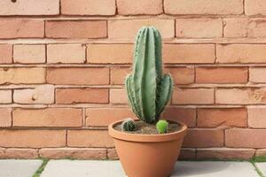 cactus in minimalistische pot. achtergrond. ai generatief pro foto