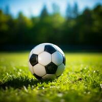 Speel bal Aan de gras, een levendig beeld van een bal Aan de veld- voor sociaal media post grootte ai gegenereerd foto