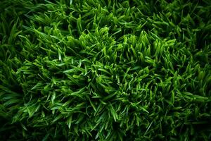 faux groen gras creëert een veelzijdig backdrop voor texturen en ontwerpen ai gegenereerd foto