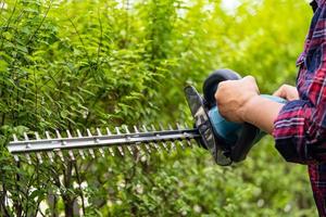 tuinman met elektrische heggenschaar om de boomtop in de tuin te snijden. foto