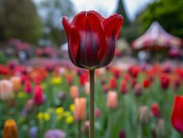 rood tulp in tuin bed met wazig achtergrond - ai gegenereerd foto