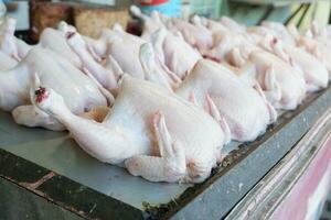 vers vleeskuikens kippen of rasecht kippen zonder veren zijn verkocht in de markt foto