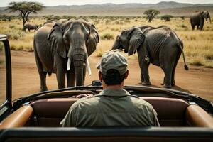 olifant behang, olifant hd ,olifant afbeeldingen downloaden ai gegenereerd foto