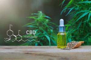 cbd-elementen in cannabis, hennepolie. gezonde hennepolie. foto