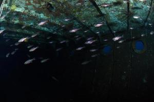 boga scheepswrak. onderwaterwereld van bali foto